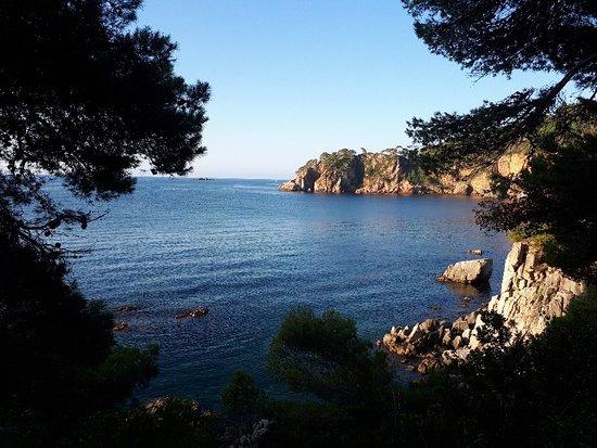 El Cami de Ronda